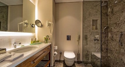 Crowne Plaza ISTANBUL - ORYAPARK Room Type - 2 Single Standard