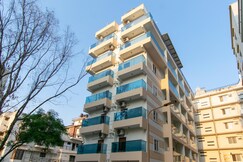 Chestnut and Cane Stays