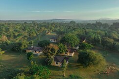 The Wild Forest Resorts