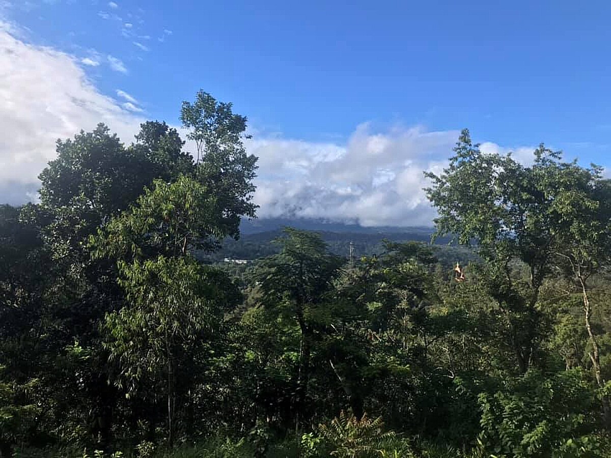 Safa Gardens Homestay - Tap to explore photos