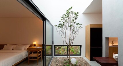 Oasis Room Type - Oasis