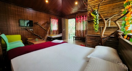 Devigiri Homestay Room Type - Tree House (Pool View)
