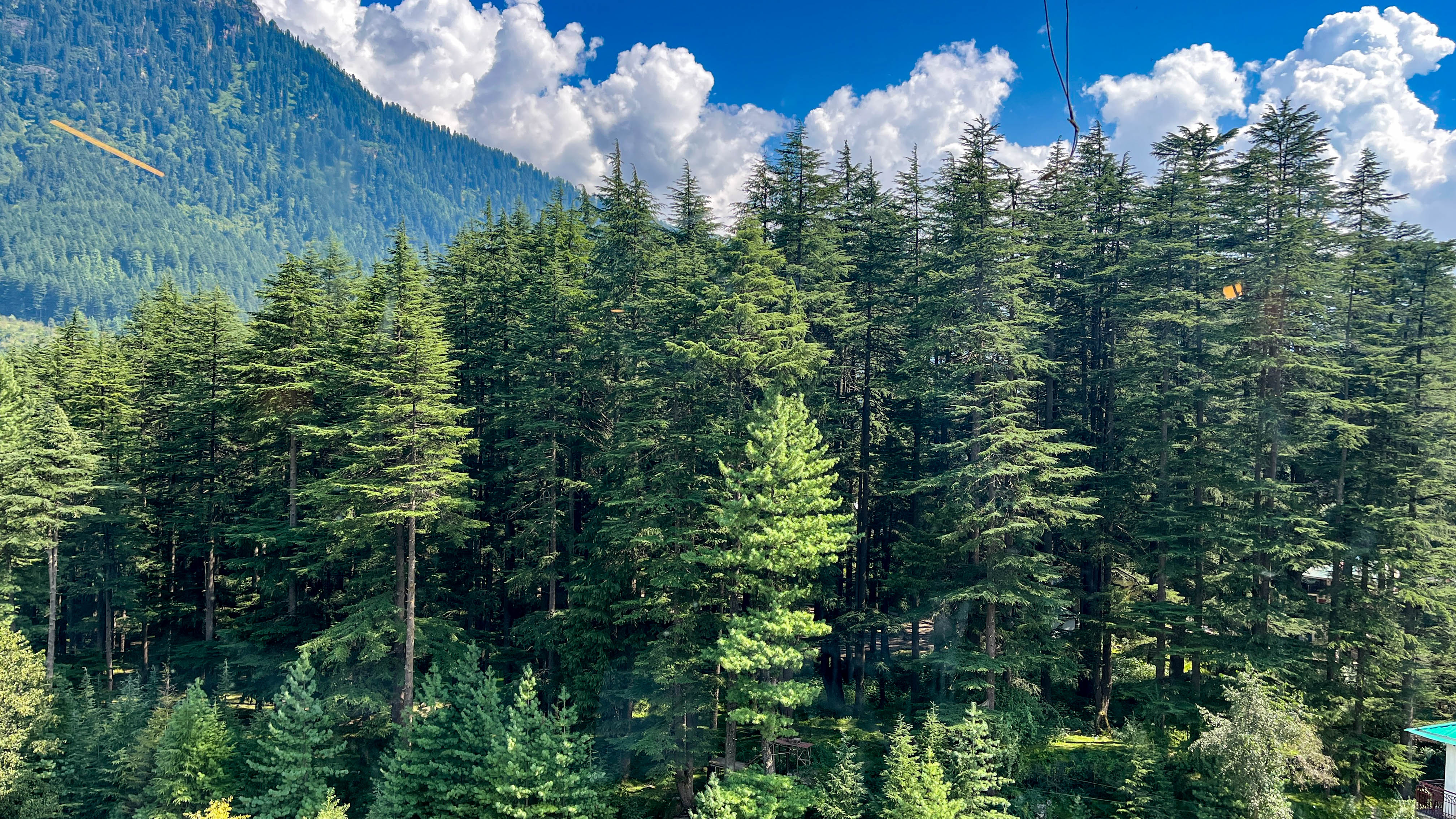 The Duchess Inn, Hotel & Microbrewery, Manali - Tap to explore photos