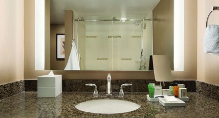 Hilton Arlington Room Type - 1 KNG 1BDRM SUITE PARLOR