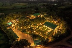 Tiger Woods Ranthambore