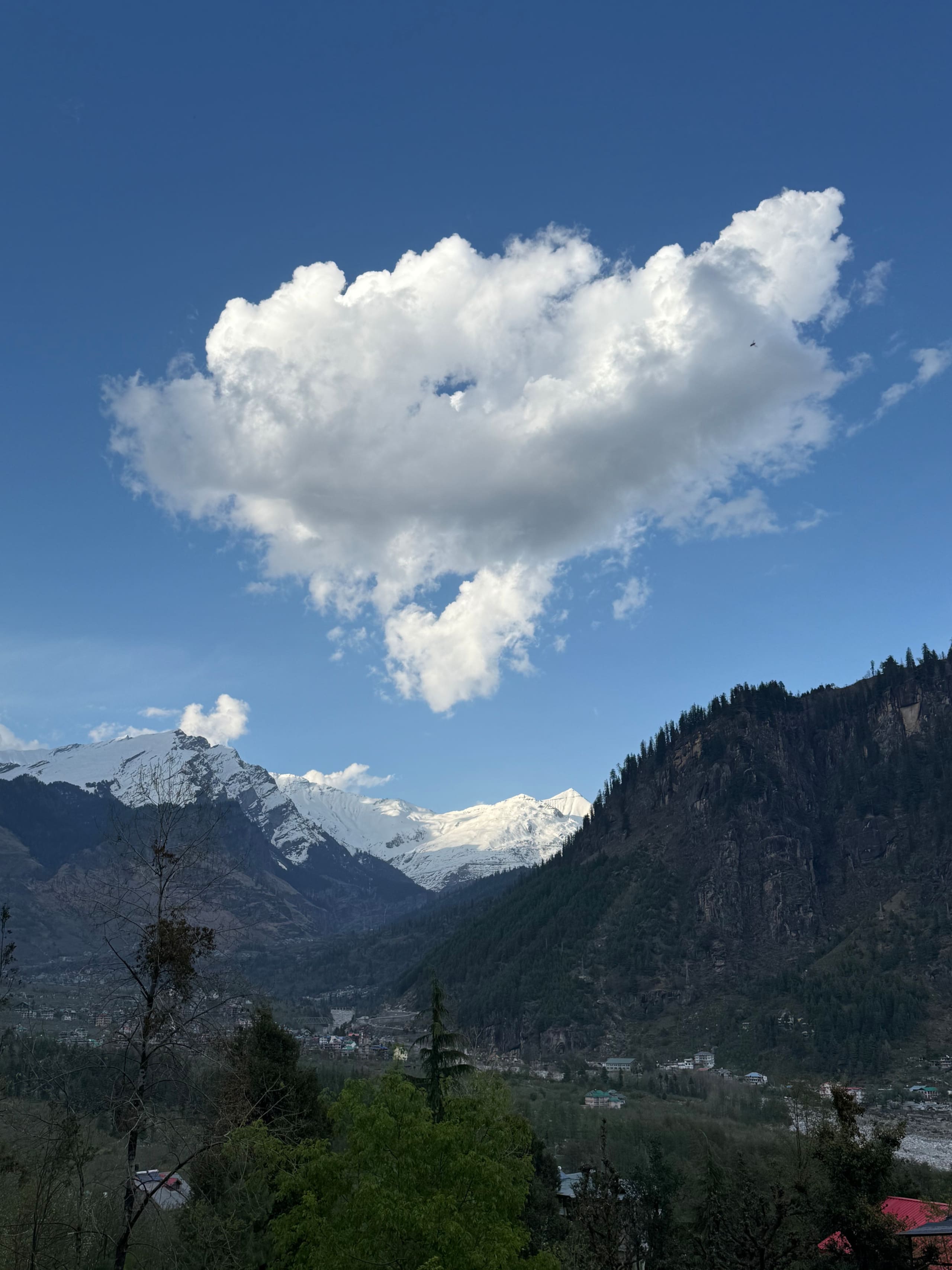 Tarang stays a premium 4 room set in old Manali - Tap to explore photos