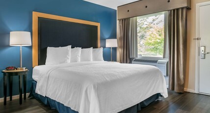 Best Western River Terrace Room Type - Accessible - 1 King, Mobility Accessible, Roll In Shower, Work Desk, Microwave And Refrigerator, Wi- Best Western River Terrace Room Type - Accessible - 1 King, Mobility Accessible, Roll In Shower, Work Desk, Microwave And Refrigerator, Wi-
