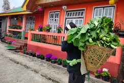 StayApart | Rooms at Sarika Homestay