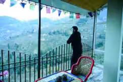 Ashok Vatika 1BR Forest Villa