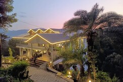 Royal Willow Near Waterfall