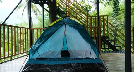The Tree Organic Farm Stay Room Type - Tent Stay