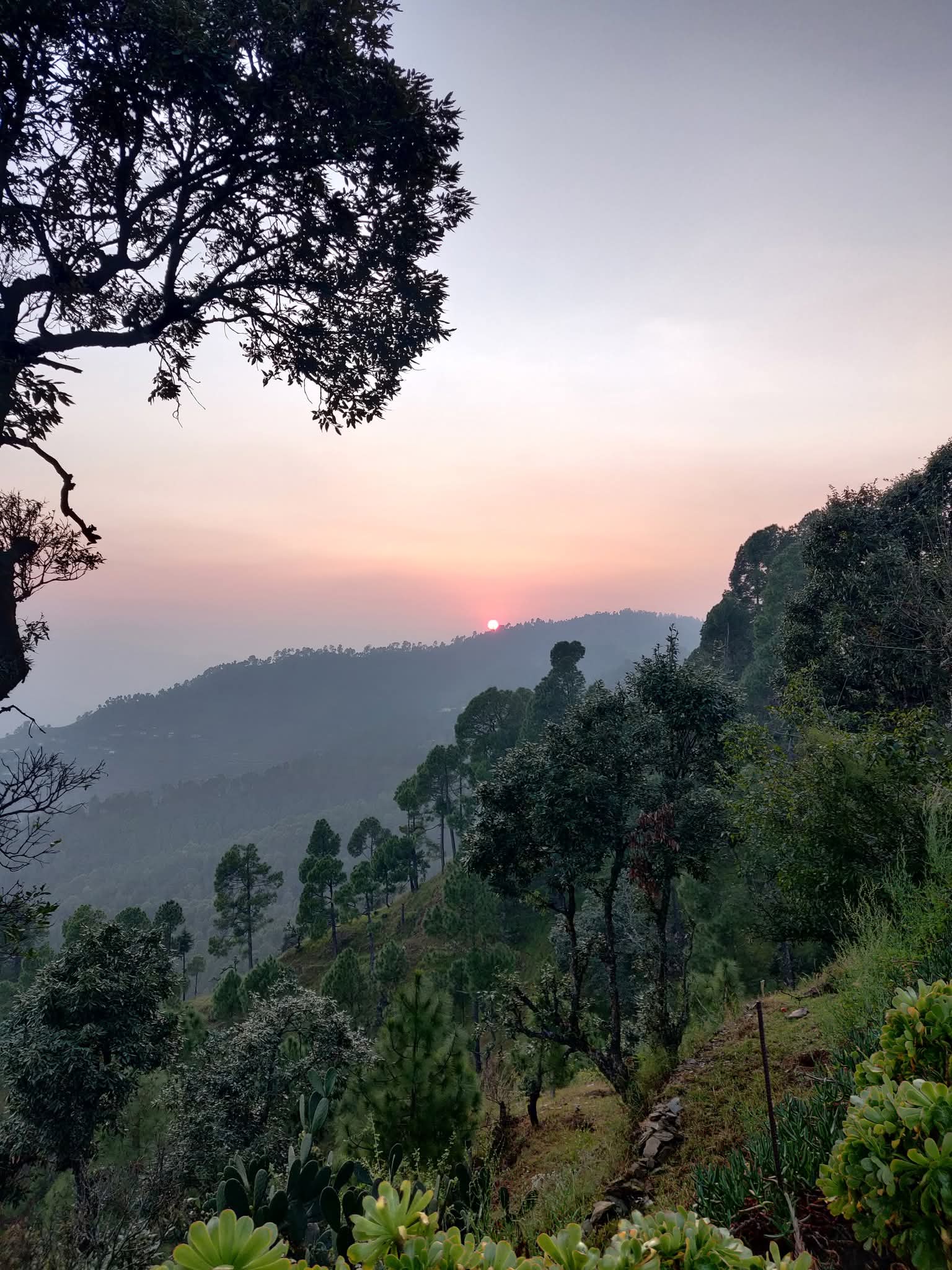 Aranya Anandam Home Stay Jageshwar - Tap to explore photos