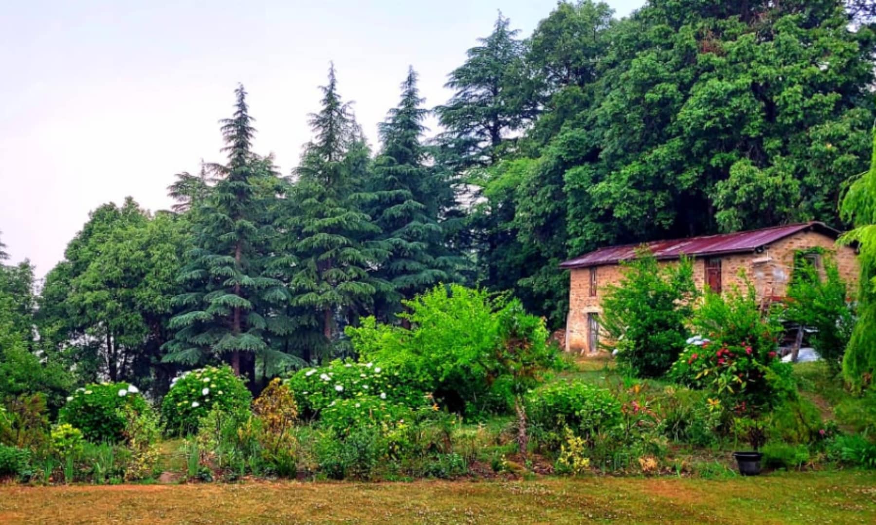 KMVN Abbott Mount - Tap to explore photos