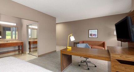 Hampton Inn & Suites Harrisburg/North, PA Room Type - 1KN HEARING ACC STUDIO NS