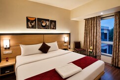 Address of Hotel South Coast