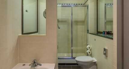 Crowne Plaza DUBLIN AIRPORT Room Type - 1 King Bed Standard Park View
