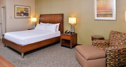 Hilton Garden Inn Boise Spectrum Room Type - 1 KING BED