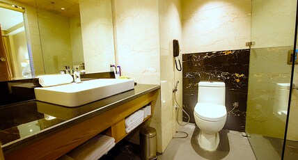 NatureVilas Sarovar Portico - Centrally Heated Room Type - Orchid View with Balcony