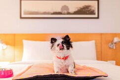 ibis Melun Hotel