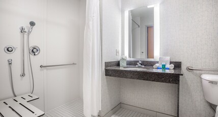Holiday Inn Express WISCONSIN DELLS Room Type - 1 King Standard Mobil Access Roll Shwr