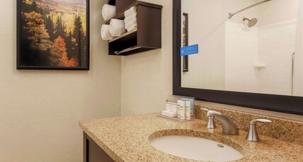 Hampton Inn & Suites by Hilton Denver Tech Center Room Type - 1 KING BED