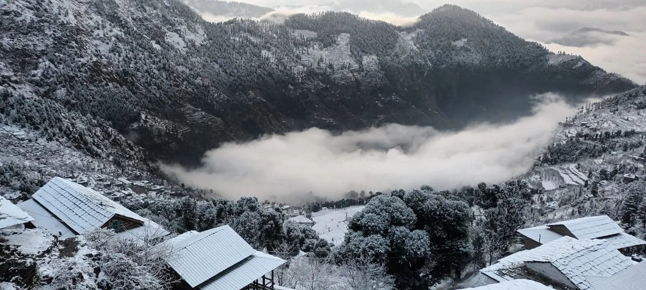 Tirthan Mountain Stay