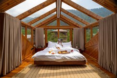 Padma Villa - Mountain Estate in Manali