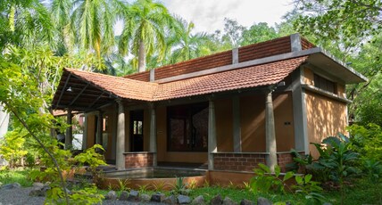 Mango orchards Room Type - Mango orchards