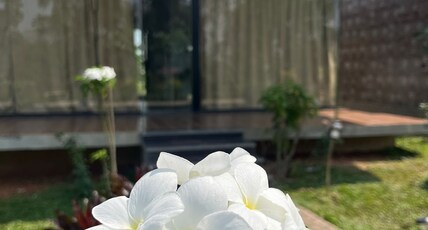 Alpha wellness Resort Room Type - Studio Room