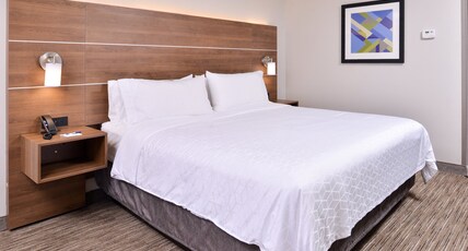 Holiday Inn Express Hotel & Suites Selma, an IHG Hotel Room Type - 1 King Standard Sofa Bed