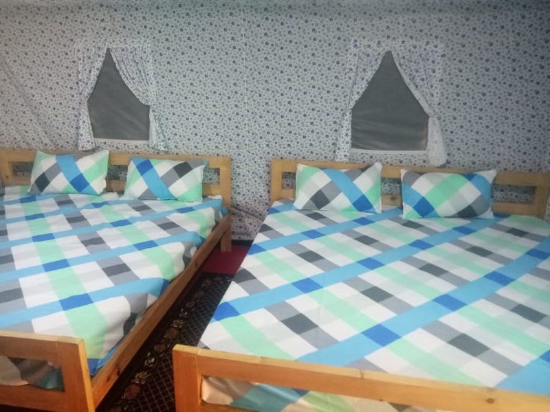 Himalayan Oak - Tap to explore photos