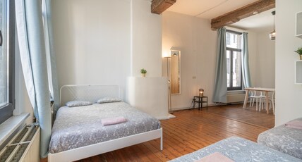 Epic Group Stay in Antwerp Centre Room Type - Epic Group Stay in Antwerp Centre