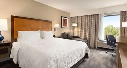 Hampton Inn by Hilton Fort Smith Room Type - 1 KNG ACCESSIBLE TUB NS