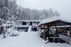 The Peace Jungle Homestay