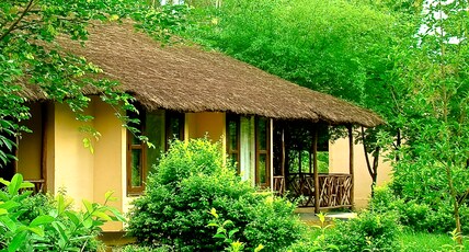 Jim's Jungle Retreat Room Type - Jungle Family Cottage ( 2 Bed Rooms) Jim's Jungle Retreat Room Type - Jungle Family Cottage ( 2 Bed Rooms)