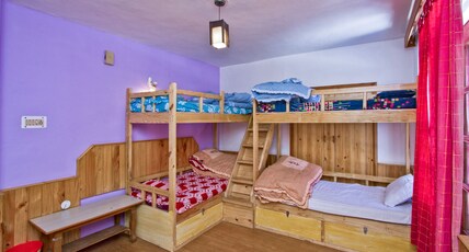 Orchards House - The Hidden Tribe | Hostel Room Type - 1 Bed in 4 bunk Bed Mix Dorm with attached shared bathroom