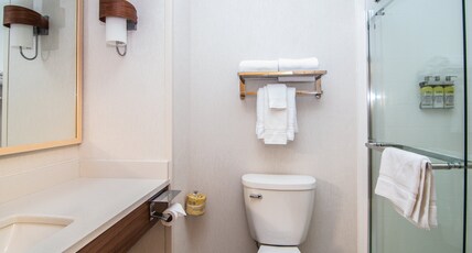 Holiday Inn Express Hotel & Suites Kalispell Room Type - 1 King Bed Stndrd Balcony Walk-in Shower