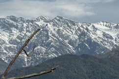Signature Nest Palampur