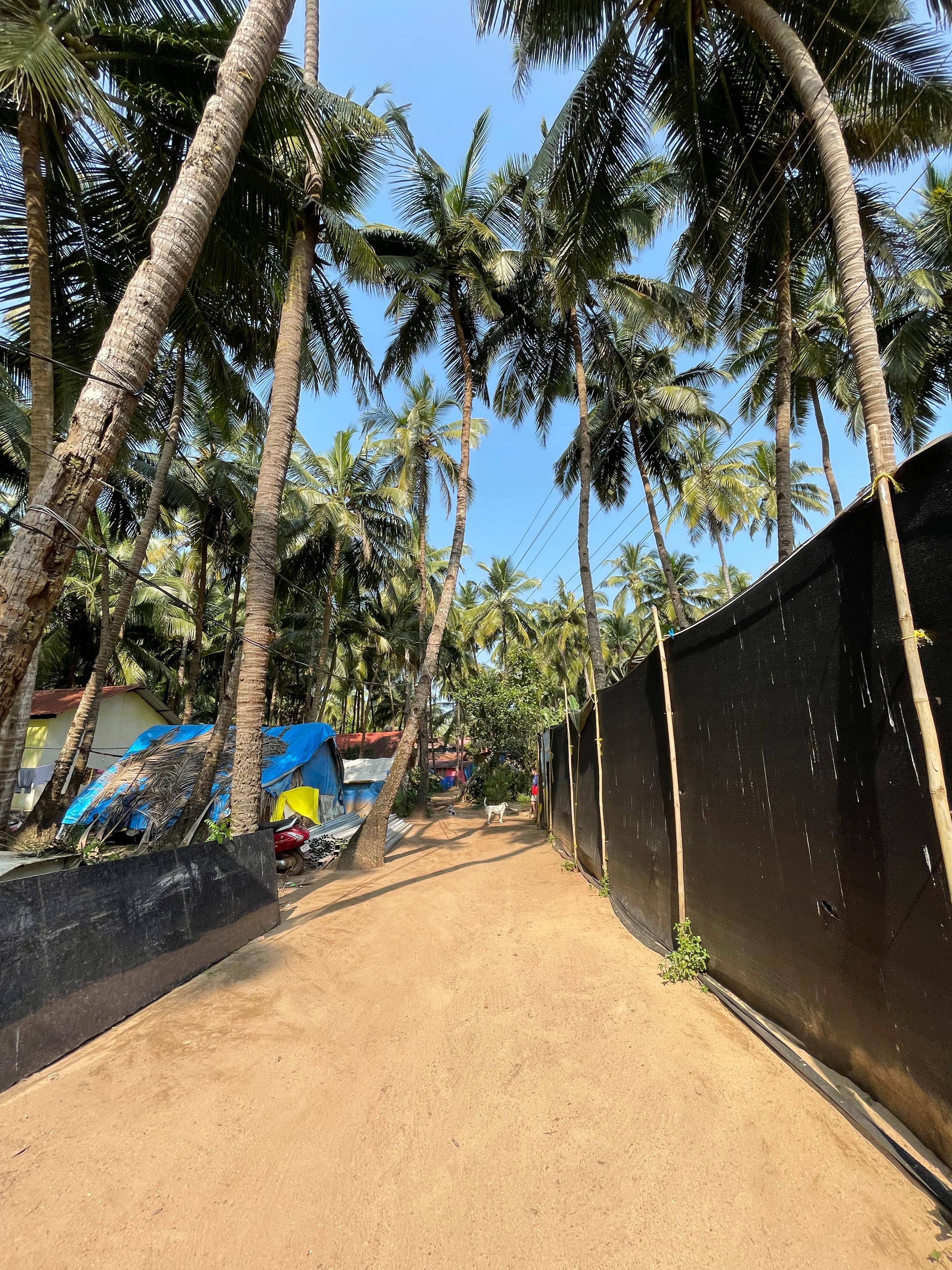 Tropical Bay - Tap to explore photos