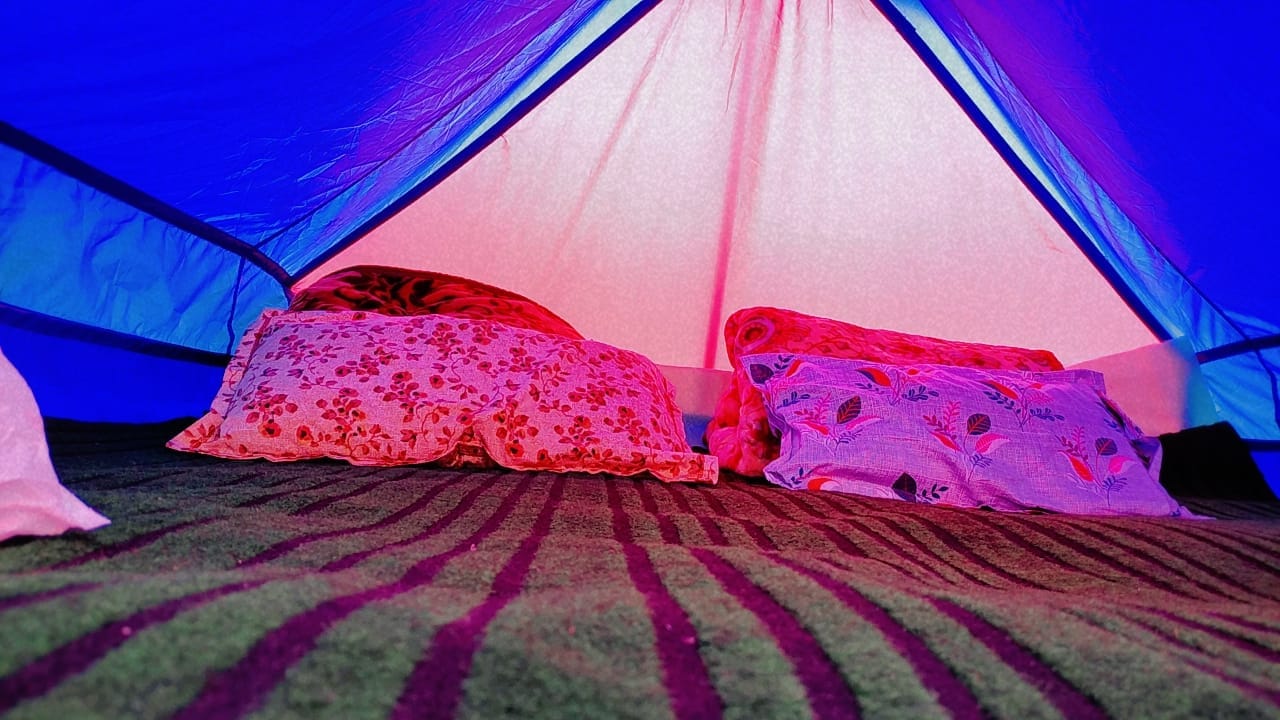 Brown Bear Camping Gurez - Tap to explore photos