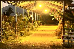 The Peepal mud homes