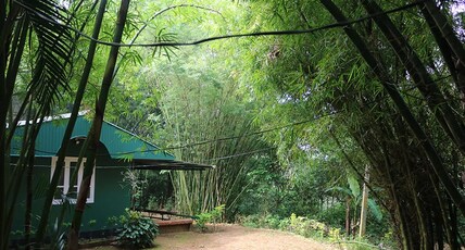 Verdant Hillock Cottage Room Type - Eera