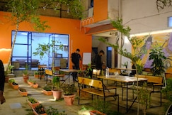 Live Free Hostel | Rooms & Dorms