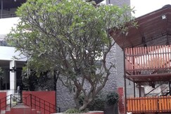 Royal Inn Lodging and boarding.