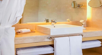 Movenpick Resort Petra Room Type - Superior King