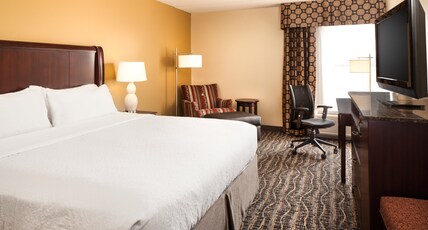 Holiday Inn DUBUQUE/GALENA Room Type - 1 King Standard Mobil Access Roll Shower