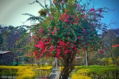 The Harikanta Corbett Resort