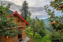 Experiences by Eleven 11 | Jibhi