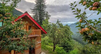 Experiences by Eleven 11 | Jibhi Room Type - Dream Cottage