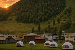 The Cocoon